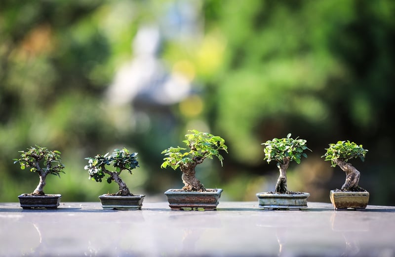 Zen Garden Meditation Stones